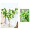 Wood Simulation Artificial Green Plant Green Plant Fake Plant Simulation Plant  Hotel Decoration