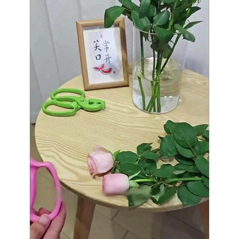 2-in-1 Floral Scissors | Stainless Steel Gardening Shears, Rose Thorn Remover, Flower Branch Pruning Shears for Florists & Flower Arranging - 1pc
