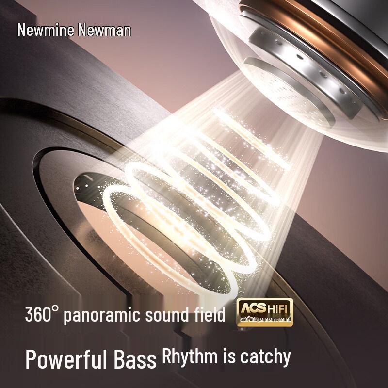 Newmine T29 OWS Clip-On Bluetooth Sports Earbuds