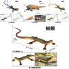 Animal Replicas Reptile Toy Set Plastic Lizard And Snake For Educational Play And Display