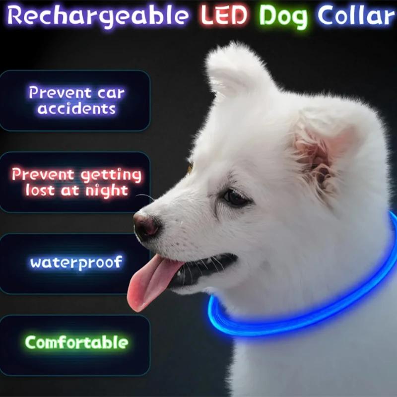 LED Light Dog Collar USB Charging Luminous Anti-Lost Necklace for Large Medium Small Dogs Pet Safety Accessory