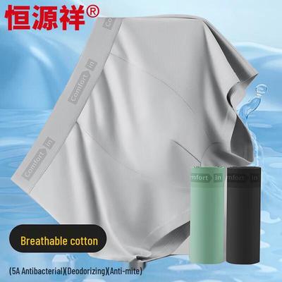 Hengyuanxiang Men's Plus Size 5A Antibacterial Cotton Boxer Briefs