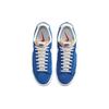 Nike Blazer Low 77 Suede Men's Team Royal White DA7254-401