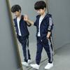 Autumn Spring Clothes Kids Set Girls Boys Longsleeved Sports Suits Children Teenage Jacketpants 2pcs Sets Clothing Tracksuits