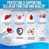 Glutathione Capsules 2028mg Complex Formula with Collagen, CoQ10, Milk Thistle, Vitamin C, 120 Capsules