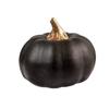 One Size – black