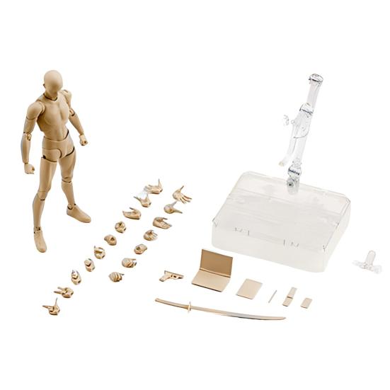 With Articulated Joints Sketching Painting Drawing Manikin Model Movable Joints Male Female Mannequin Poseable Figure