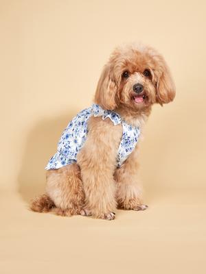 Kleidhemd Niedliches Blau-Weißes Porzellan Sommerkleid Bedruckt Prinzessin Sommer Welpenbekleidung Kleidung mit Rüschen für Kleine Hunde Ca