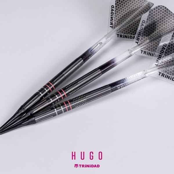 TRiNiDAD PRO HUGO 2BA Hugo Leung model darts barrel soft