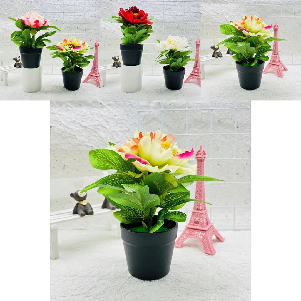 Faux Peony Flower With Silk And Plastic Material For Home Office And Indoor Botanical Decor