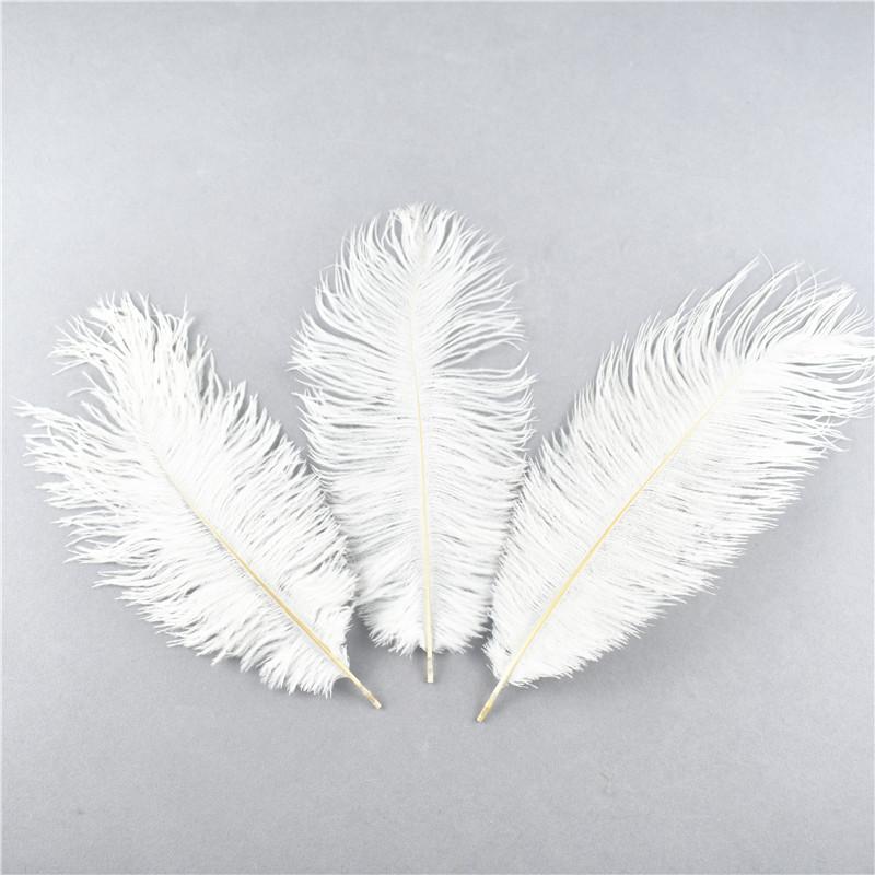 10Pcs Natural Dyed Fluffy Soft Ostrich Feather For Craft Diy Needlework Feathers Jewelry Making Dress Wedding Decoration 25-30Cm