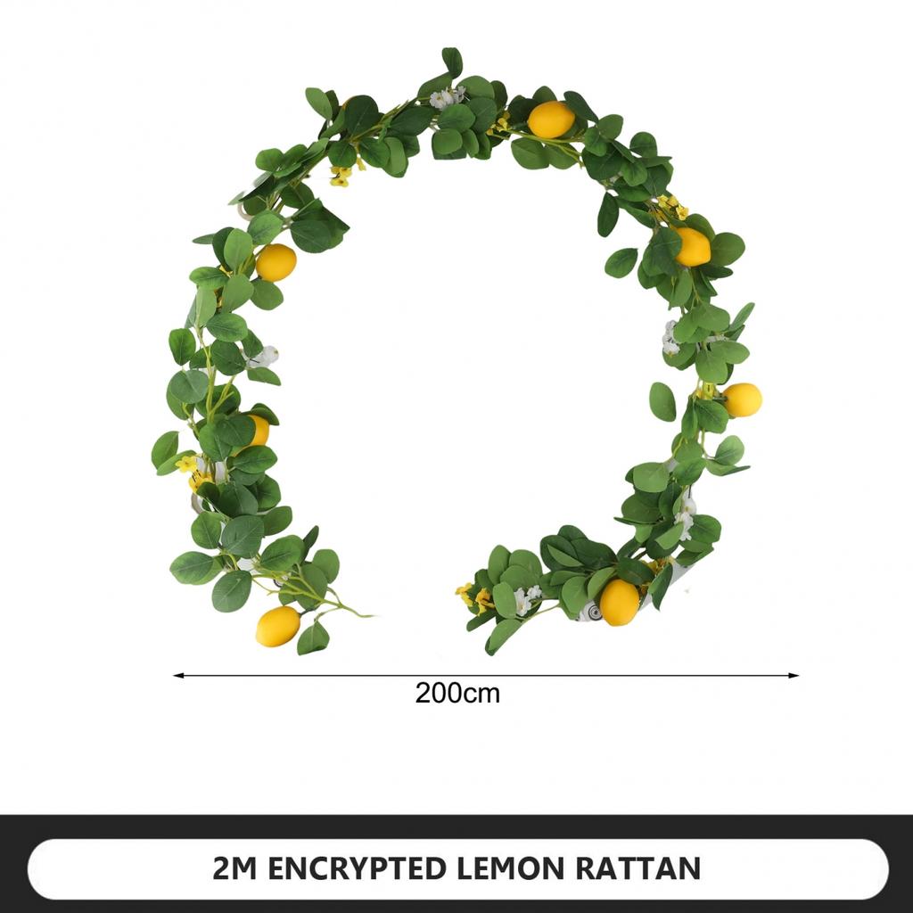 Lemon Rattan Decor Supplies For Wedding Party Decorations