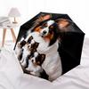 1 Pezzo Ombrello Pieghevole Automatico - Fantasia Cane Papillon, Design Portatile e Pieghevole con 8 Stecche, Regali di Natale per Compleanno