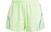 TruePace Running Shorts IT9729