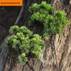 Pine Needle Juniper Artificial Bonsai with Dried and Plastic Pine Leaves