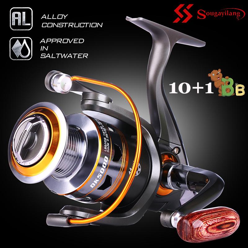 Acheter Moulinets De Pêche Spinning, Pêche Mentale, 10bb, Eau Douce Salée, Série 1000 6000, Pour Carpe D'eau Douce