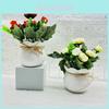 Camellia Sp Green Plant Indoor Decor With Plastic And Silk For Home And Wedding Use