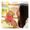Plush Toy Poodle In Pink Dress, 20cm, Realistic, Soft Interior Dog Goods, Gift Set for Girls, Baby Shower Present (20CM/Ages 3+), Premium Soft-Touch