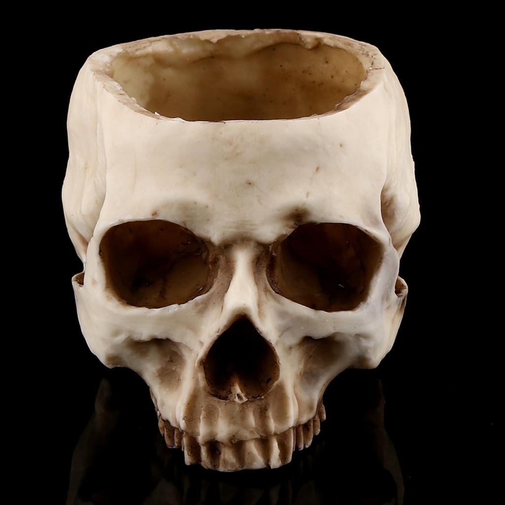 1pc Resin Skull Head Design Flower Pot Planter Container Decoration