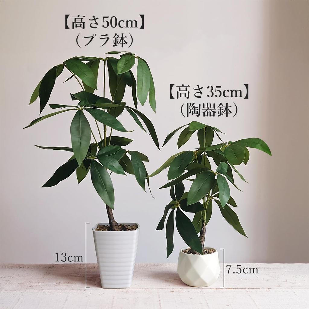 Ninian and Kino Faux Green Pachira In a 35cm Ceramic Artificial Plant with a Realistic No Maintenance Will Not Indoor Decorative Perfect for Living