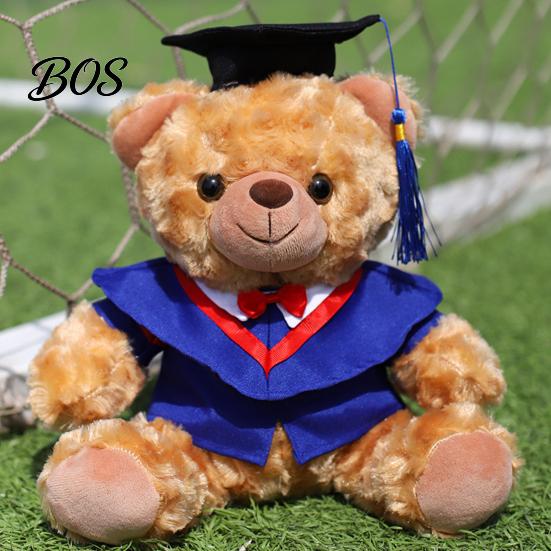 Luxury Gift Packaging Bear Personalized Graduation Gifts 2026 for Her, Cute Teddy with Embroidered Gown Award And Cap, Soft Plush Mascot College High