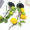Green Lemon Plant Decor With Faux Fruits For Home Styling And Props Photography