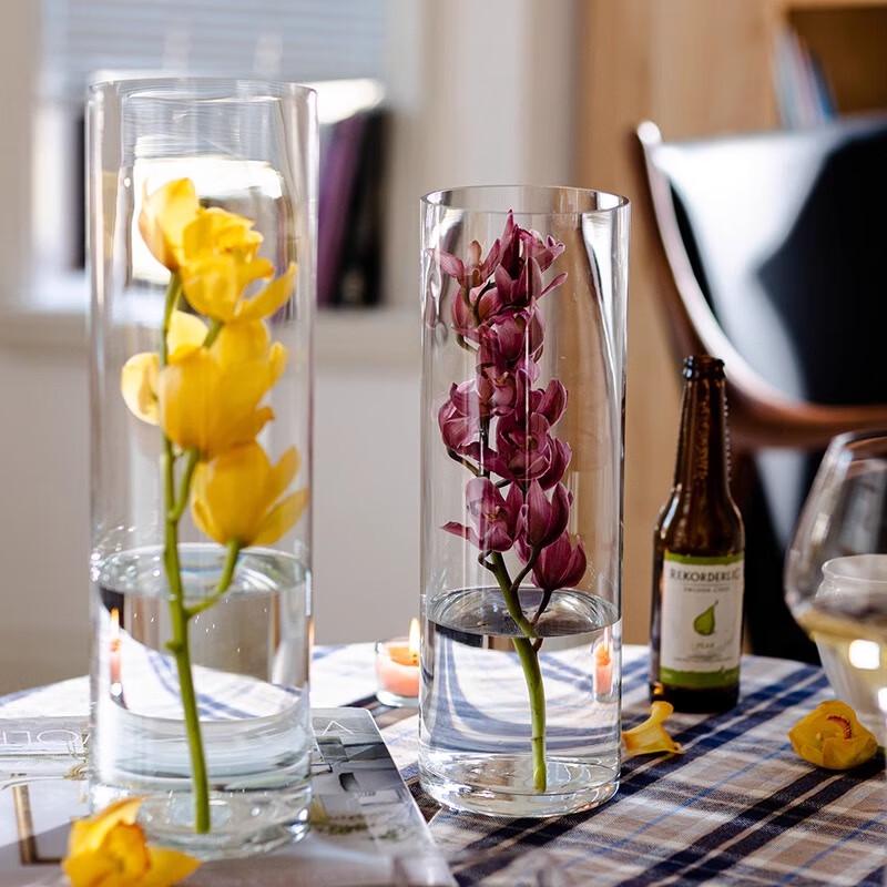 Hanwei Modern Clear Glass Flower Vase