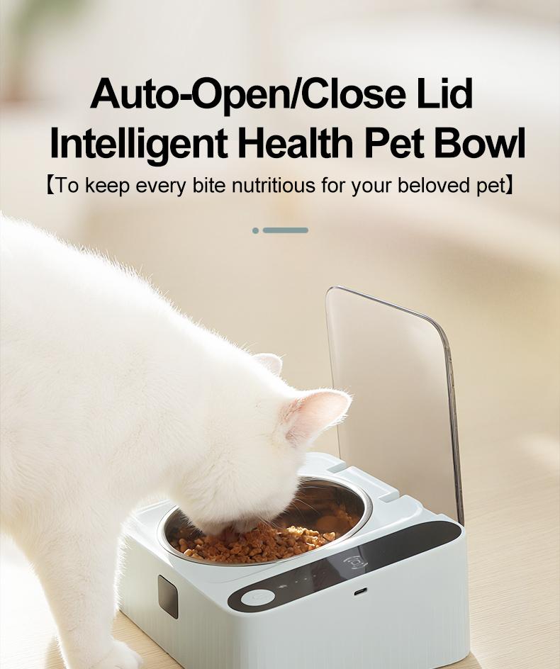& ODM Intelligente Automatische Katzenfutterschale mit Sensorgesteuertem Deckel 304 Edelstahl Erhöhte Tierfutterstation 350ml