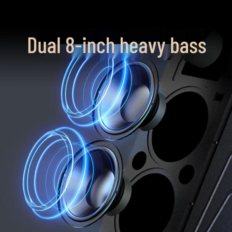HiVi Portable Outdoor Bluetooth PA Speaker with Dual Wireless Microphones CN Plug (adapter Included)