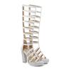 Fashion Summer Tall Boots Women's Knee High Chunky High Heels Shoes Back Zipper Roman Greek Gladiator Sandals