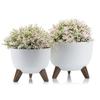 Rosa Linea Eco Recycling Pot Set