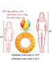 Fruit Pool Float, Watermelon Kiwi Orange Lemon Swim Ring, Beach Ball - Inflatable Tube Floating Water Toys