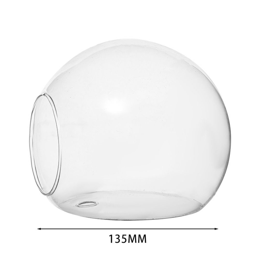 Terrarium Container Blume Flasche Sukkulente Hydrokultur Pflanze Vase