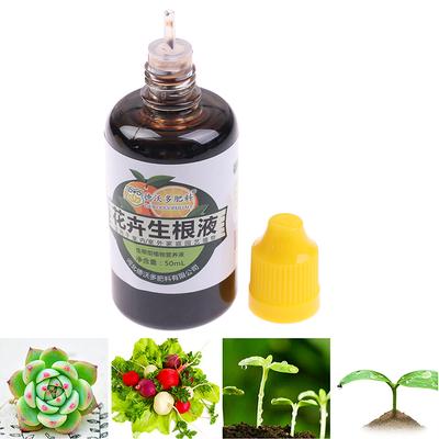 Rooting Agent Plant Flower Transplant Fertilizer For Bonsai Rapid Growth Root