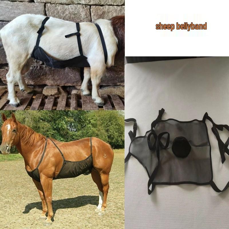 Oddychający Owczy Pas Brzuszny Zapobiegający Kryciu - Trwały, Solidny Owinąć dla Ochrony Maciorki