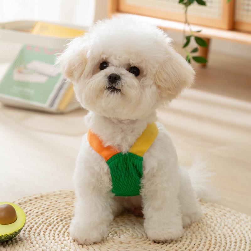 Fruit Traction Vest Dog Cat Universal Clothing Small and Medium Dogs Teddy Bigbear Spring and Summer New Pet Clothing
