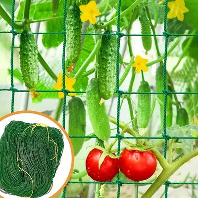 Pflanzenspalier-Pergolen, Hochleistungs-Pflanznetz aus Polyester, Gartenspaliernetz mit quadratischer Masche für Kletterpflanzen, Gemüse,