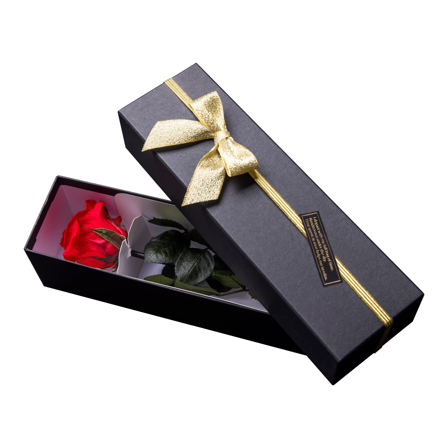 

Сохраненный одиночный цветок цветы День цветов, роза, красный, подарок, праздник, годовщина, день рождения, аранжировка, подарок, аранжировка, неувядающая роза, красный