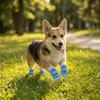 4Pcs/Set Non-Slip Su Dog Shoes Soft Waterproof Dog Paw Protector Adjustable Soft Sole Hollow Puppy Shoes Outdoor Hiking