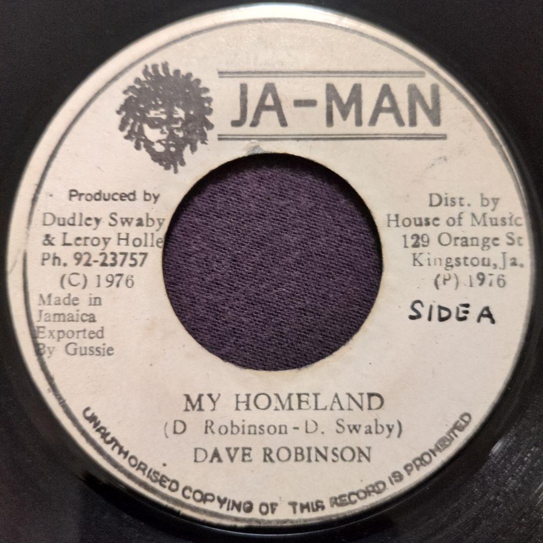 

[USED] Super rare! Dave Robinson / My Homeland