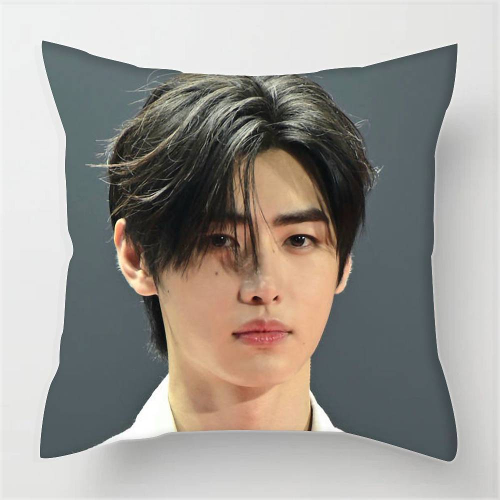 Federe fodere cuscini divani soggiorno decorazioni per la casa regali Park S-ung-hoon Cantante Pop