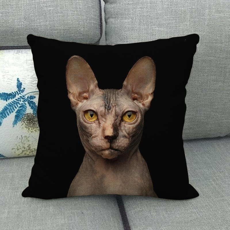 Uroczy zwierzęcy nadruk z kotem seria Sofa kreatywna poduszka prosta poduszka domowa impreza samochód