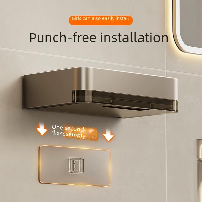 Punch-Free Double-Layer Wall-Mounted Soap Drain Rack