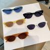 Trendy Cat Eye Sun Glasses Glasses Ladies Luxury Classic Classic Sun Eyeglasses for Ladies Shades UV400 Fashionable Travel Sunglass
