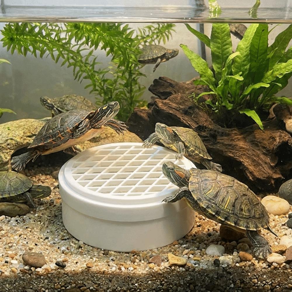 Plastic Turtle Poop Collector Basking Platform Reptile Waste Container Turtle Tank