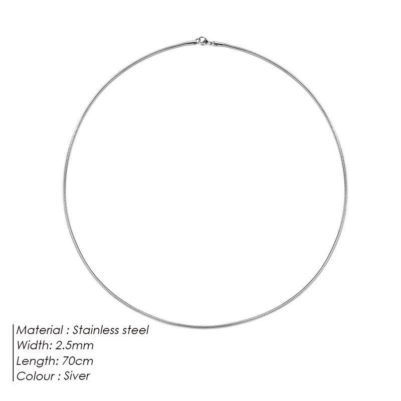 Steel Necklace Round Snake Chain for Women Simple Light Luxury Plain Chain Couple Clavicle Chain European and American Fashion Snake Bone Chain