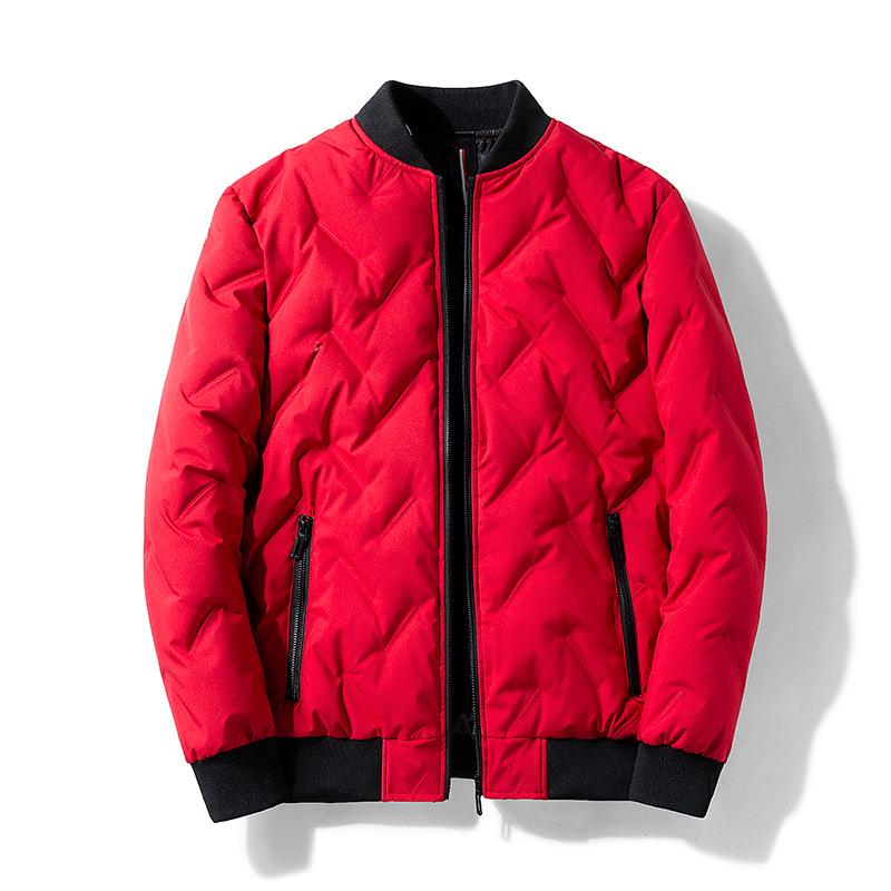 Leichte Herren-Pufferjacke mit Entendaunen - Stilvoller Herbst/Winter Stehkragen, Kurz und Warm