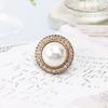 Antique Pearl Diamond Shoe Buckle Crystal Gem Shoelace Decorative Flower Rhinestones Shoelaces Decoration Shoe Charms Accessorie