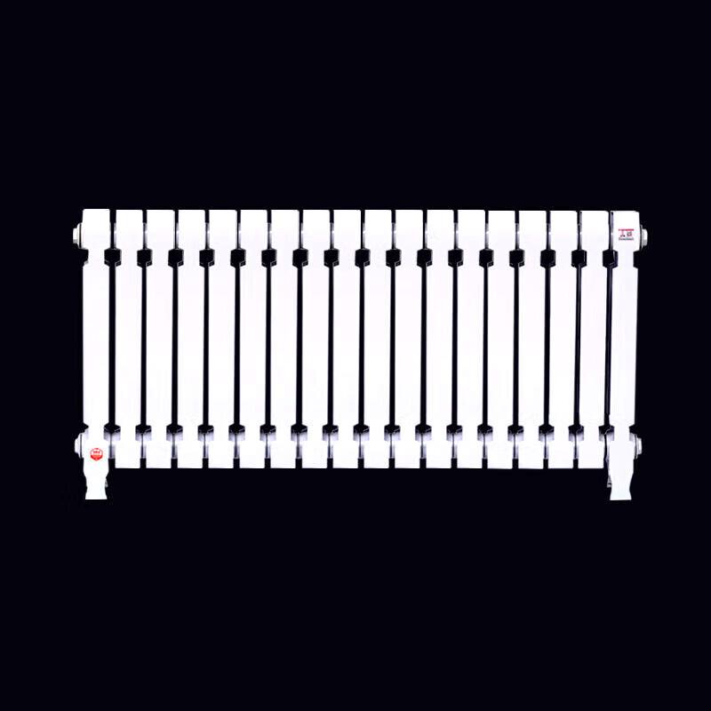 Lixing TZY2-6-8/62B Cast Iron Radiator
