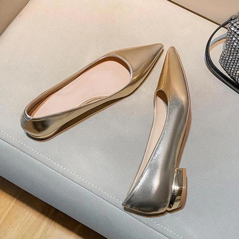 Fashion Silver Pointed Toe Thick Heel Women's Pumps Spring Autumn New Shallow Mouth Temperament Retro Commuter Low Heel Single Shoes